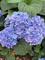 https://images.plurk.com/2QCTayCnQw1S0OgeQ5V6F3.jpg