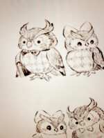 https://images.plurk.com/2QJTKMB99JHjK5ZGpKwoaO.jpg