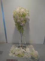 https://images.plurk.com/2QWvlq6zFyMu6hi0XERK.jpg