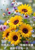 https://images.plurk.com/2QXi9ag3BF9KU7WwKh5Dwq.jpg