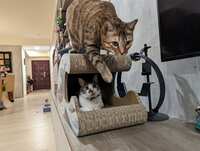 https://images.plurk.com/2QeKUz2BDjjpPDYYTe7bnr.jpg