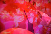 https://images.plurk.com/2QoHD8UcYokctwfrqpzgxj.jpg