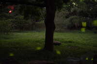 https://images.plurk.com/2QpW43BsH223DwNOnJnnQk.jpg