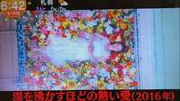 https://images.plurk.com/2QqYSylhPCVOWsYSeoWPzP.png