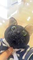 https://images.plurk.com/2QtphqeUr8pFRlyIGgxDUn.jpg
