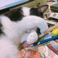 https://images.plurk.com/2QyjCVXX9iU2gQSmAgtmkL.jpg