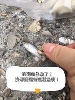 https://images.plurk.com/2R4kgmqHiBDvFkfdsIZS80.jpg