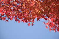 https://images.plurk.com/2R5mHcRskV3oSy63YSfwdL.jpg