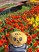 https://images.plurk.com/2R6h6Te9INEqNcMrHST4a8.jpg
