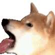 https://images.plurk.com/2RBWwgQXIKAXORw1UCwKCd.gif