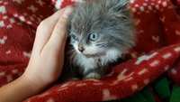 https://images.plurk.com/2RFVEUjXzg9hSBzswDgm.jpg