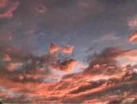 https://images.plurk.com/2RHsTyhj4JUBAslqVCpSpS.jpg