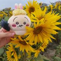 https://images.plurk.com/2RIn2JWFs55SMCaSyxwt0w.jpg