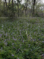 https://images.plurk.com/2RJ2FBwjlEMJO7hxAO5LHj.jpg