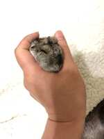 https://images.plurk.com/2RUhyN5QA29pri3m85YRb4.jpg