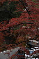 https://images.plurk.com/2RWXZpjeUqigr6O6lADM6X.jpg
