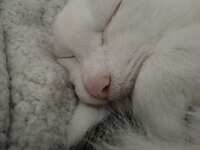https://images.plurk.com/2Rnl5tkwryJ2II7ar9aVcd.jpg