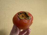 https://images.plurk.com/2Rnq7AgNKy6fko9rwCSi3O.jpg