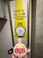 https://images.plurk.com/2RoopFpymUYsXydxygDlhv.jpg