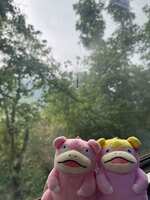 https://images.plurk.com/2S4gGTv37wdglQpk9cgJ0Y.jpg