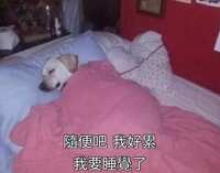 https://images.plurk.com/2S8AaibyMP0exEirHhjrI7.jpg