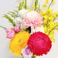 https://images.plurk.com/2SU1veBYQJWvPrOUKMWoyI.jpg