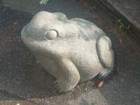 https://images.plurk.com/2SaPCDMnK9F9VmRxGvrNHM.jpg