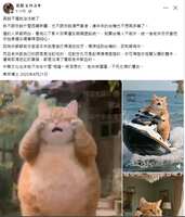 https://images.plurk.com/2Sd62kEPvjsrZSJSbIMQNO.png