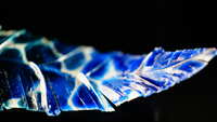 https://images.plurk.com/2Sh0hY45VH3jqgwMmLvTMc.jpg