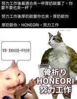 https://images.plurk.com/2ShbtsXD7Ff6VUEOXXw2PZ.jpg