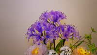 https://images.plurk.com/2SjbQrHw1kHzAhvhg0tjBM.jpg