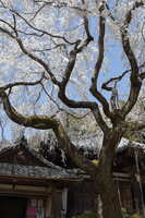 https://images.plurk.com/2Spp4UPyZgVSrwFw5hdlDW.jpg
