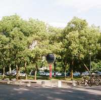 https://images.plurk.com/2Ssgv7BkdXBhdxLwwgfbF7.jpg
