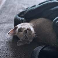 https://images.plurk.com/2Sv0mYhHroDMyzcCsjJtAG.jpg