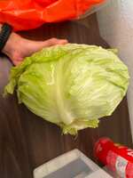 https://images.plurk.com/2T0GCsqPfv3W4S9LqUykZR.jpg