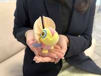 https://images.plurk.com/2T0adNFis70O75HXIPVJ77.jpg