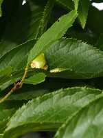 https://images.plurk.com/2T5lmYX2qvbUceBjeYTn3N.jpg