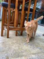 https://images.plurk.com/2TAR9EHLhhcsU4M1aKupSy.jpg