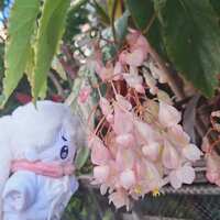 https://images.plurk.com/2TDZawaUQoqDrILEWtOwQN.jpg