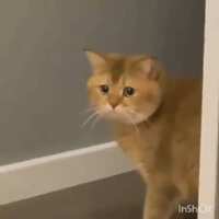 https://images.plurk.com/2TJAPR6YSON9mhjlxoS9ET.jpg
