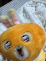 https://images.plurk.com/2TLzH1fK2nhfqpWZNSkCtI.jpg