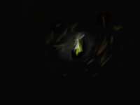 https://images.plurk.com/2TSXgIff5zsXto6qdDlg1Q.png