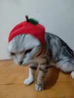 https://images.plurk.com/2TX5V0e5mzjgo8TS3rNwEz.jpg