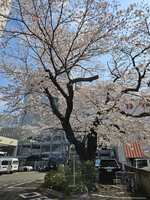 https://images.plurk.com/2TjYP18I0kJaPjO8BoWCUP.jpg