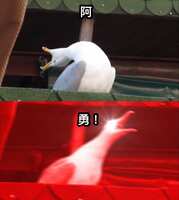 https://images.plurk.com/2TlTASnJU4sM25Or2ntQUd.jpg