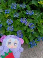 https://images.plurk.com/2TnVdJH9aXNpniQXCcn6dx.jpg
