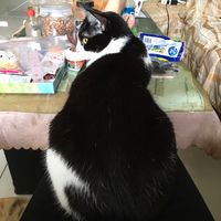 https://images.plurk.com/2TzNLgMG1ZDXLY3tinEXP2.jpg