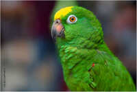 https://images.plurk.com/2U0uDeHQFcOPG0Z7W5RTU0.jpg