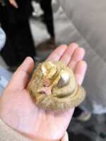 https://images.plurk.com/2U19wGsbnKUwJi0FGiJWYi.jpg