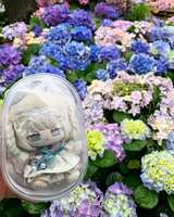 https://images.plurk.com/2U1zvFg0rtd7PkyTJPcI1R.jpg